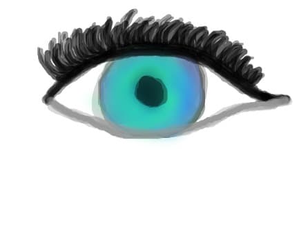 Eye