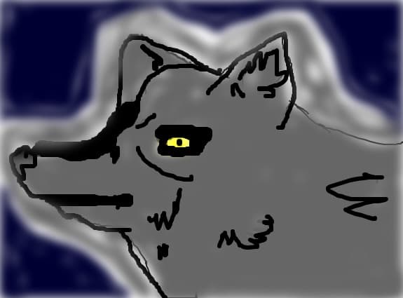 kiba