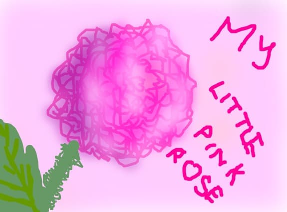 my little pink rose