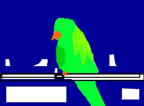 Tom