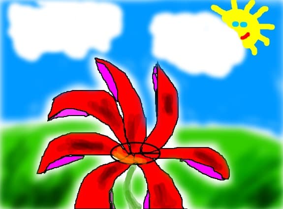 floarea paradisului