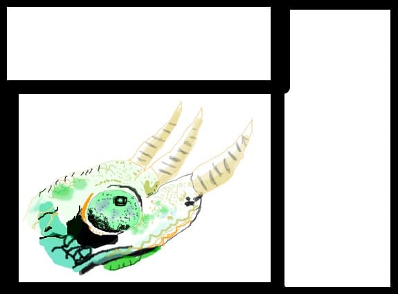 cameleon