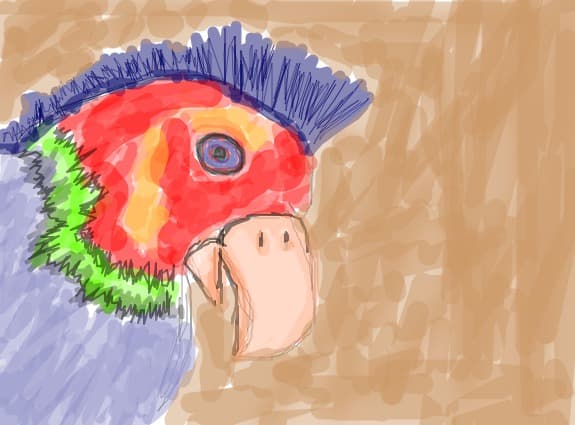 coco