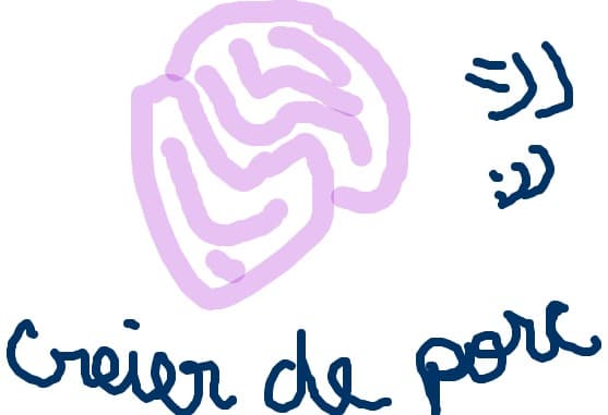 porc