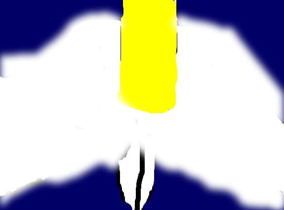 angel