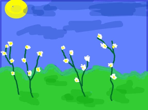 Camp de flori