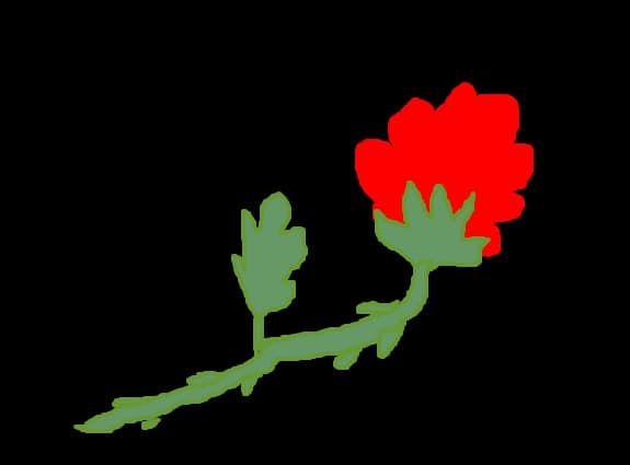 floare