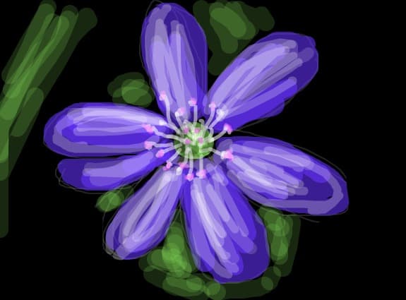 floare