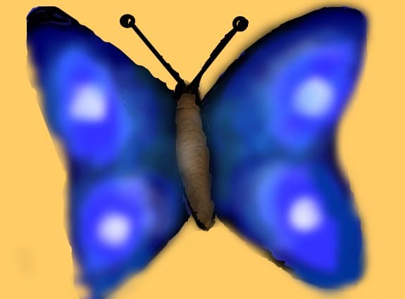 fluture