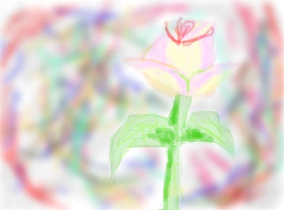 Rose