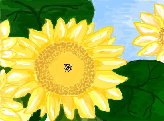 floarea soarelui