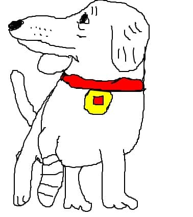 cutzu schiop