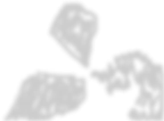 stele