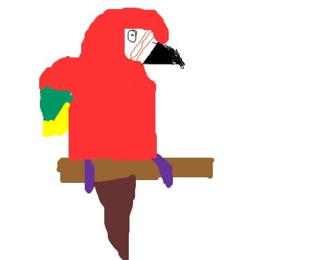 coco