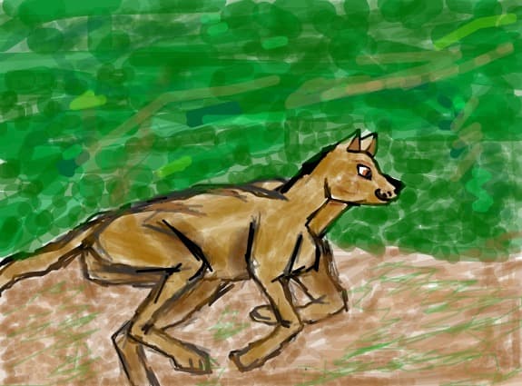 Puma in actiune