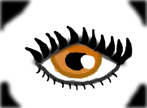 ochi