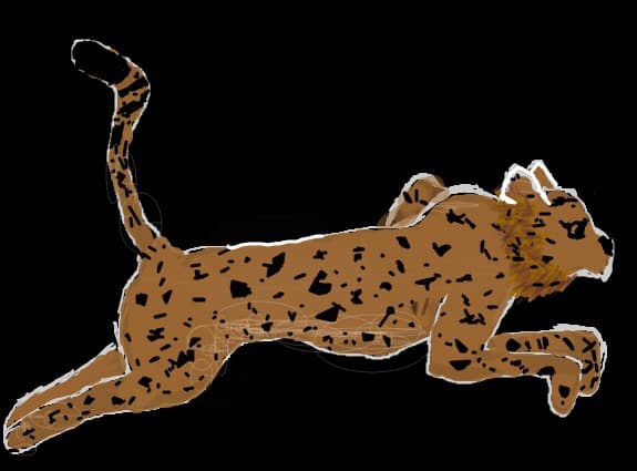 Leopard