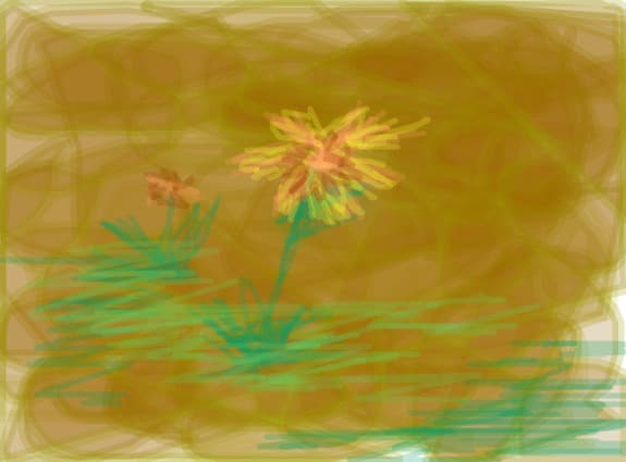 flower