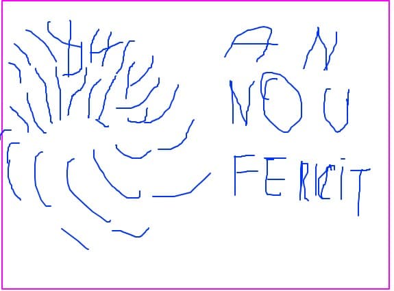 an nou fericit