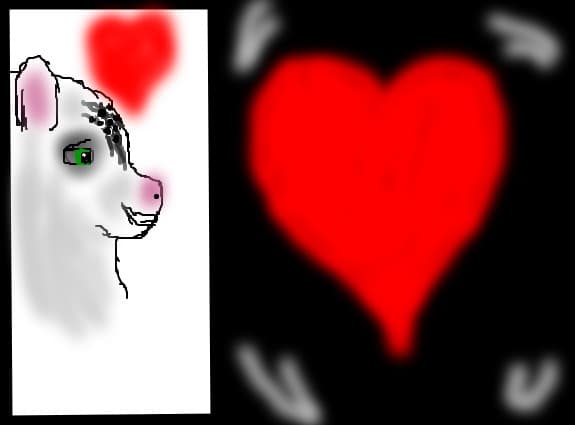 O felina indragostita
