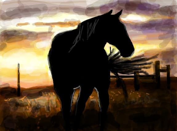 black beauty