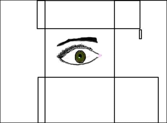 eye