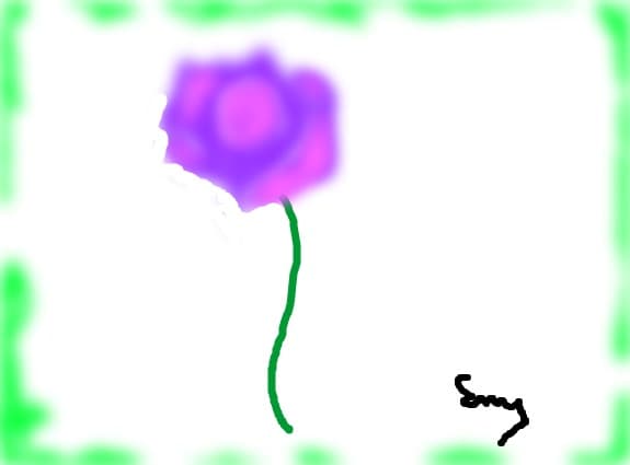 inocent rose...