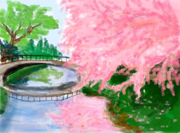 blossom