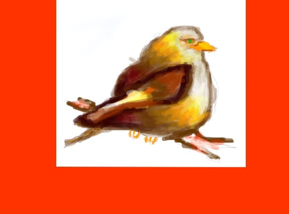 bird