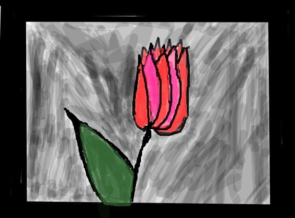 o floare