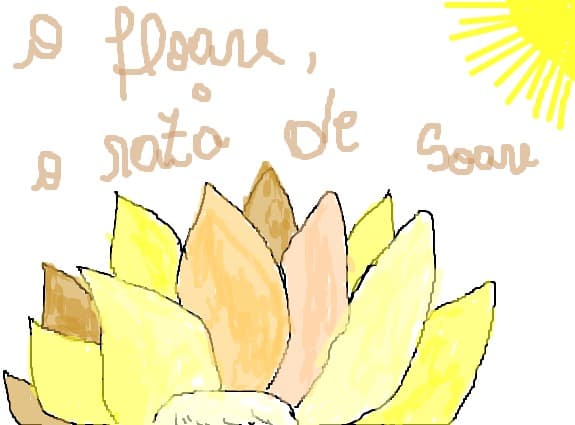 o floare,o raza de soare