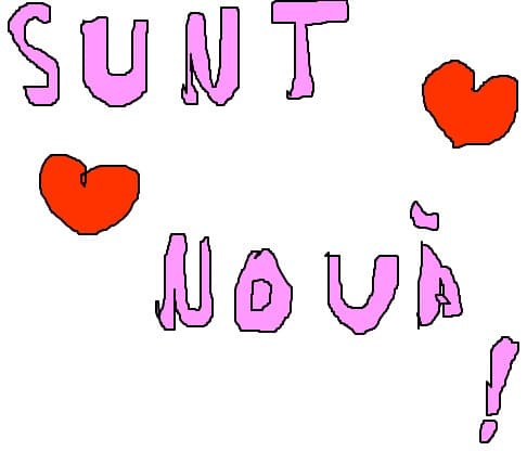 sunt noua