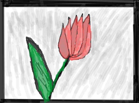 o floare