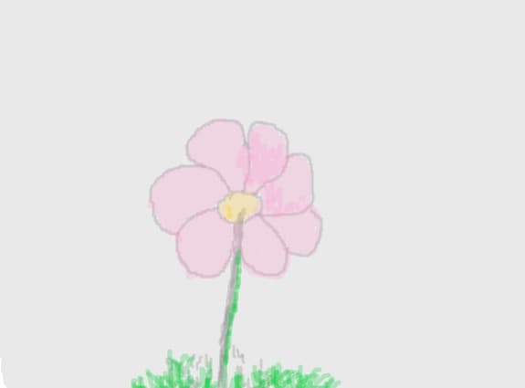 o  florikika
