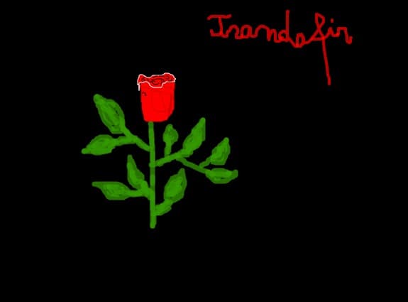 Trandafir(Narumi)