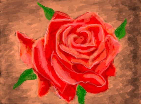 rose