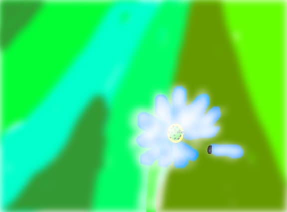 floare