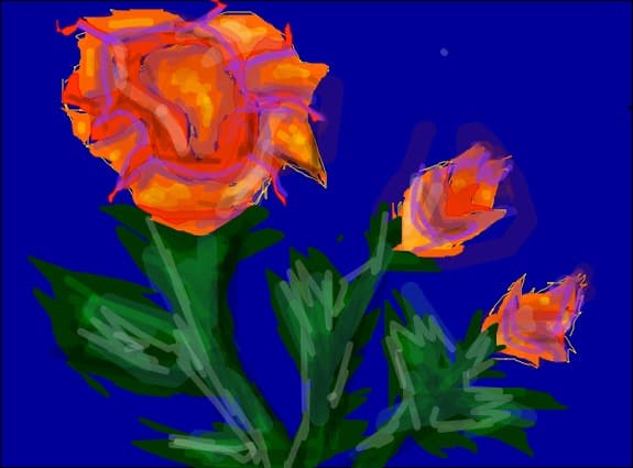 flori
