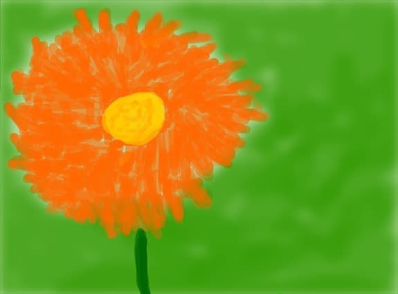 o floare