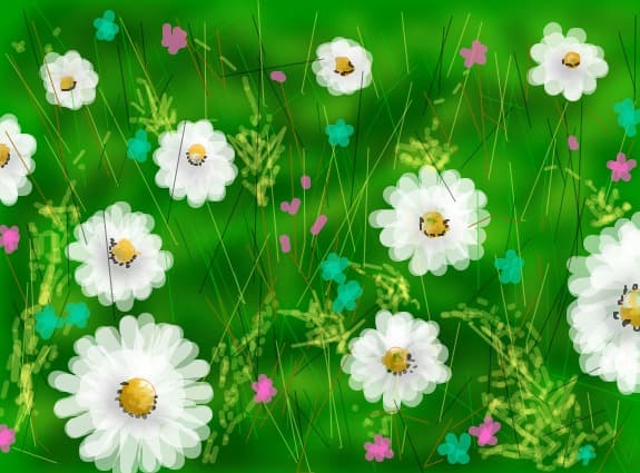 floricele pe campii