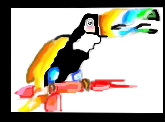 TOUCAN