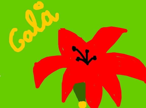 cala
