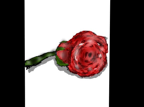 roses and poses...