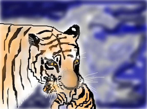 tigri