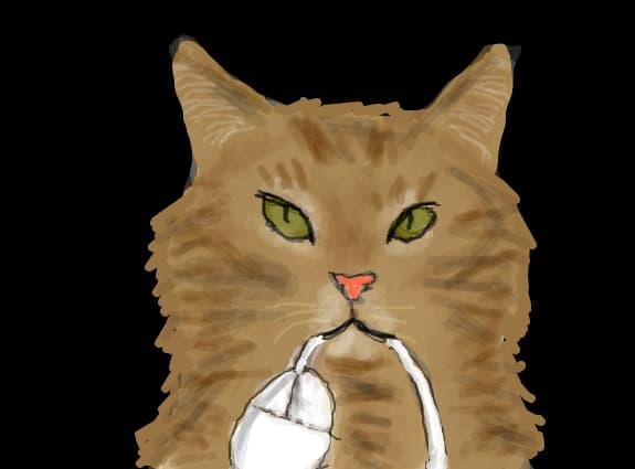 cat&amp;mouse