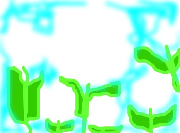 flori