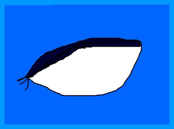ochi
