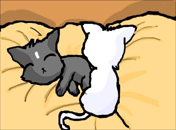 doi pisicuti micuti....votati desenul