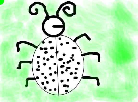 o buburuza