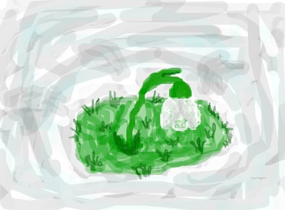 Snowdrop